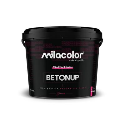 Betonup 12.5 kg