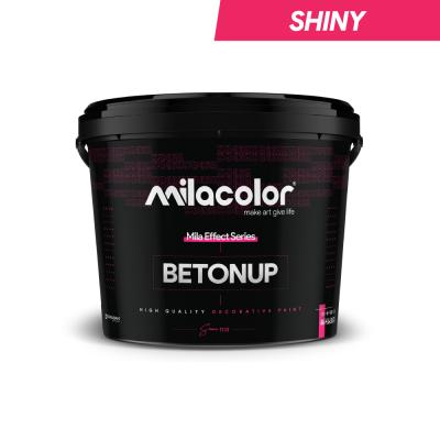 Betonup Shiny 20 kg